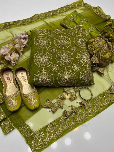 Organza Party Wear 