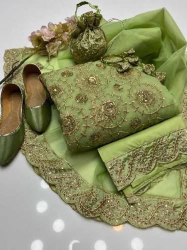 Organza Party Wear 