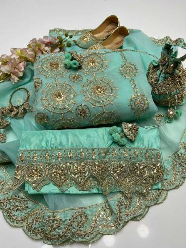 Organza Party Wear 
