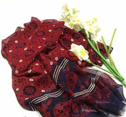 Ajrak Hand Print Chiffon dupatta 