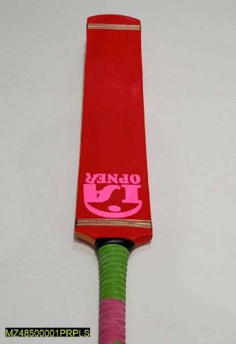cricket bat