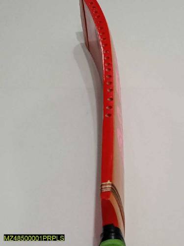 cricket bat