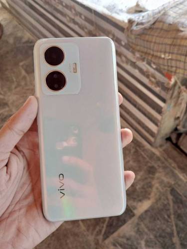 vivo y55