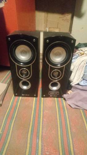 audionic woofers 