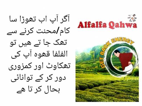 تھکاوٹ اور کمزوری دور کر کے توانائی اور چستی بحال کرتا ھے