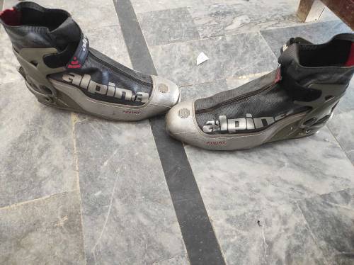 alpina shoes size 42 