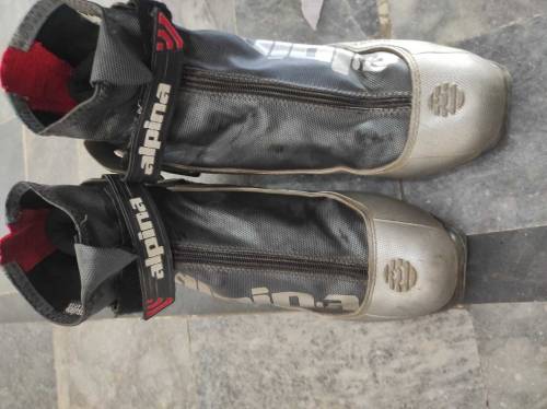 alpina shoes size 42 
