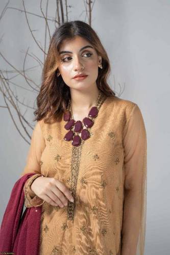•  Shirt Fabric: Net•  Trouser Fabric: Cotton Silk•  Dupatta: Cotton S