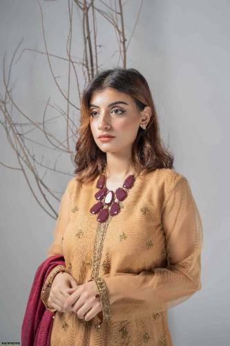 •  Shirt Fabric: Net•  Trouser Fabric: Cotton Silk•  Dupatta: Cotton S