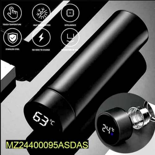 Temperature Water Bottle 