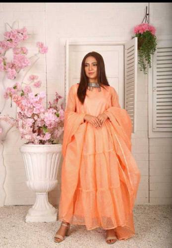 2 Pcs Women's Unstitched Organza Embroidered Suit