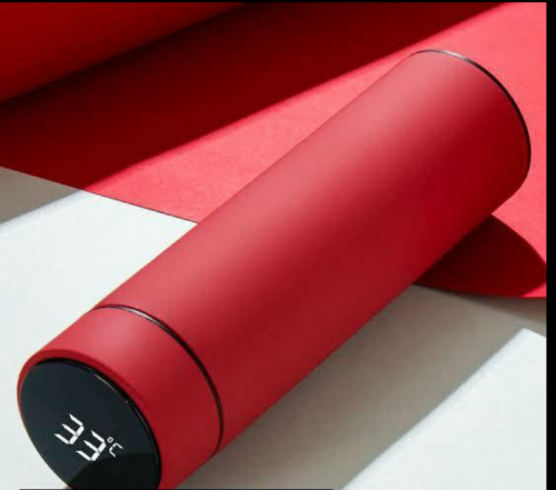 Temperature Bottle With LED Display 500Ml