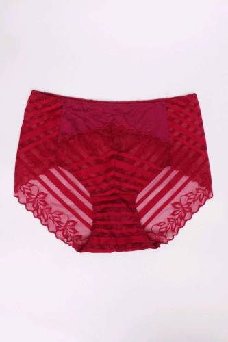 Full laced Seamless High waist Panty