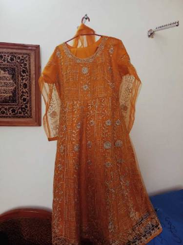 ladies collection 