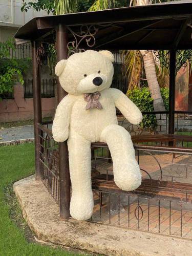Teddy Bear For Sale Multiple Color's And Size's Available
