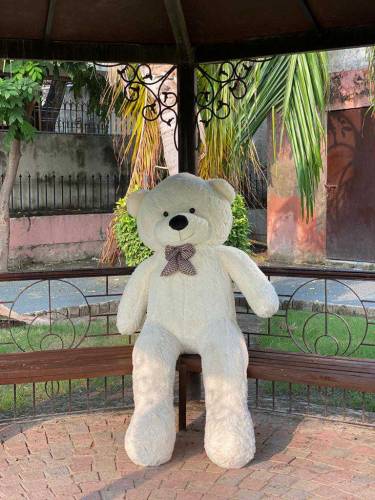 Teddy Bear For Sale Multiple Color's And Size's Available