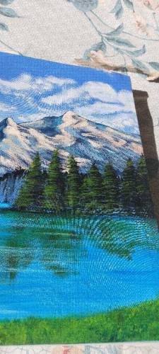 acrylic senery painting 