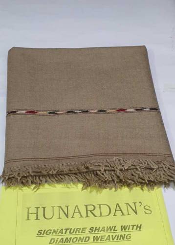 HUNARDAN'S Signature Shawal with Diomand Weaving 