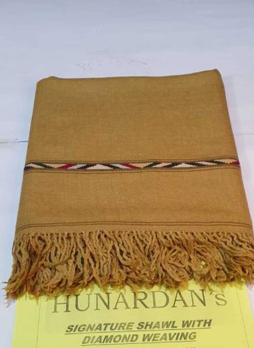 HUNARDAN'S Signature Shawal with Diomand Weaving 