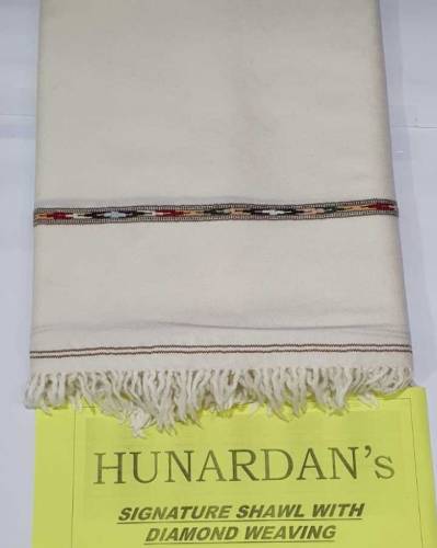 HUNARDAN'S Signature Shawal with Diomand Weaving 