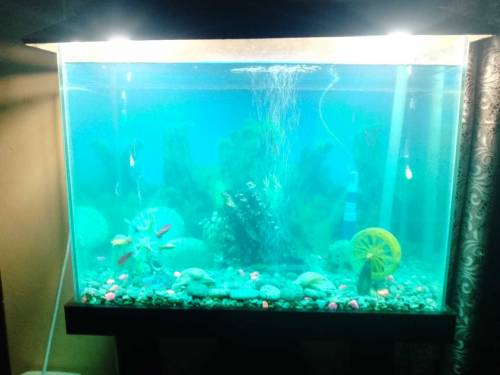 EQUARIUM