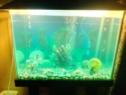 EQUARIUM