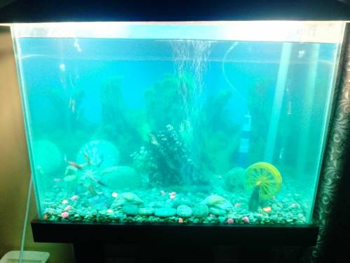 EQUARIUM
