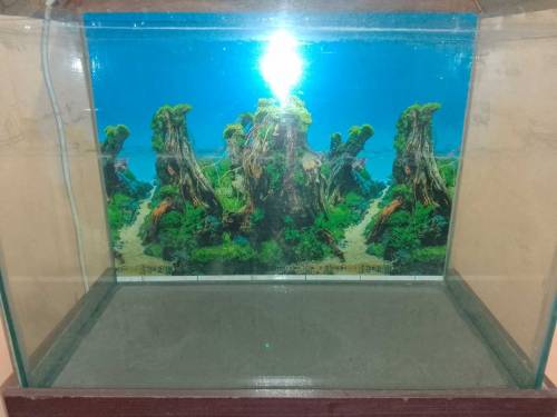 EQUARIUM