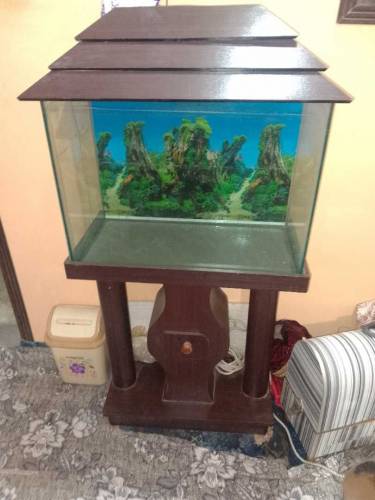 EQUARIUM