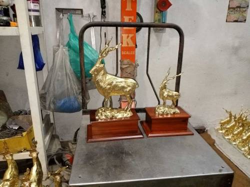  brass Markhor trophy 