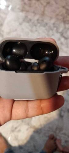 airbudds 