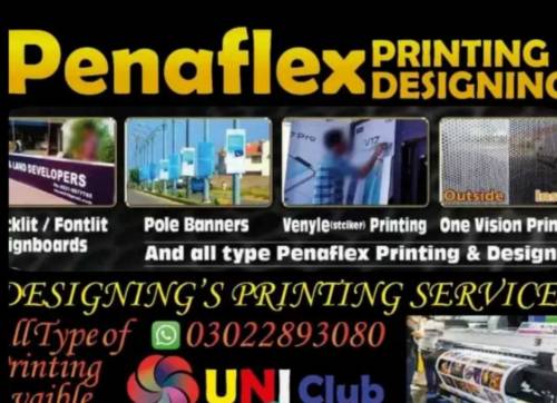 Penaflex and Vinyl printing