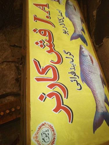 fish fri and bbq setup
