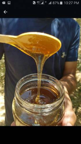Rial and Pure Honey