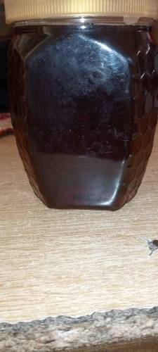 Honey