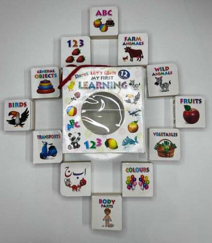 12 in 1 Learning Library