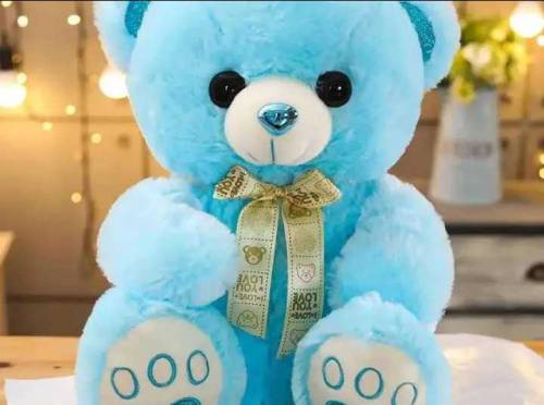 Teddy bear