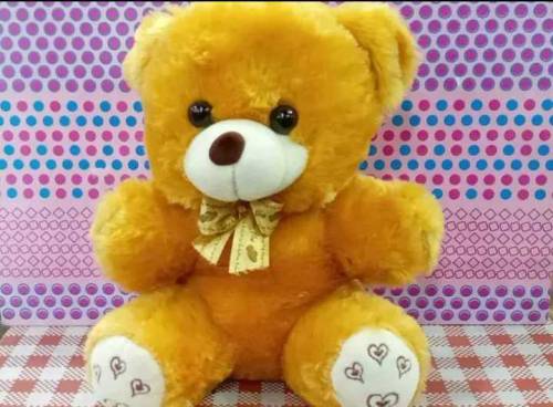 Teddy bear