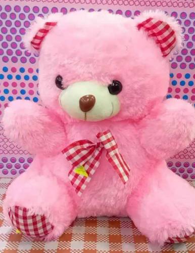 Teddy bear