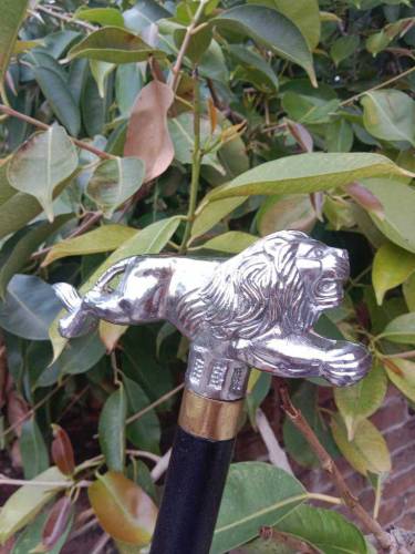 handmade walking stick with sword