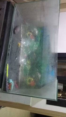 aquarium 