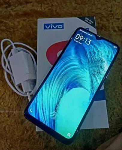 vivo S1