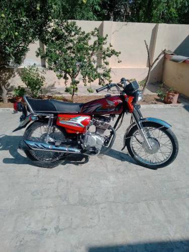 Hoda 125 madl 2023 location jehlum mobile number 03145454564
