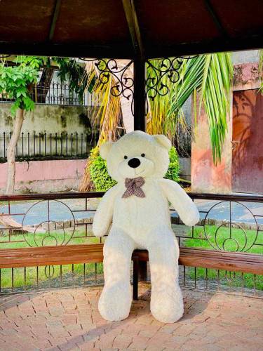 Teddy bear best gift for weeding or birthday 