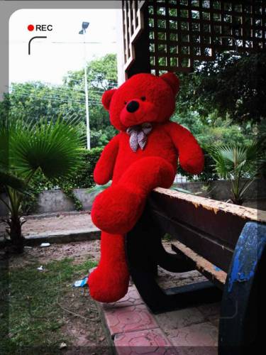 Teddy bear best gift for weeding or birthday 