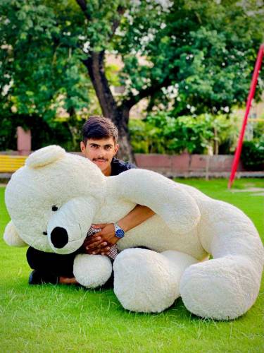 Teddy bear best gift for weeding or birthday 