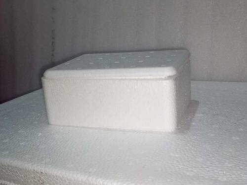 thermocol box