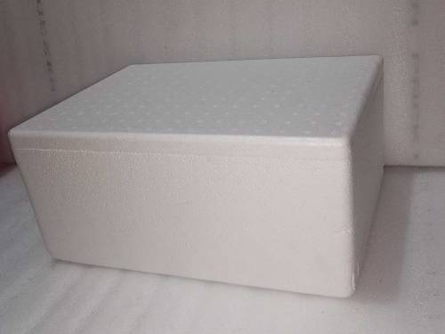 thermocol box