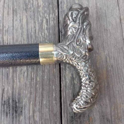 walking stick with sword for safety 