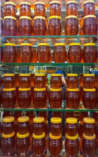 Paloosa Berry honey